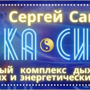Точка Силы (Сергей Савостов)