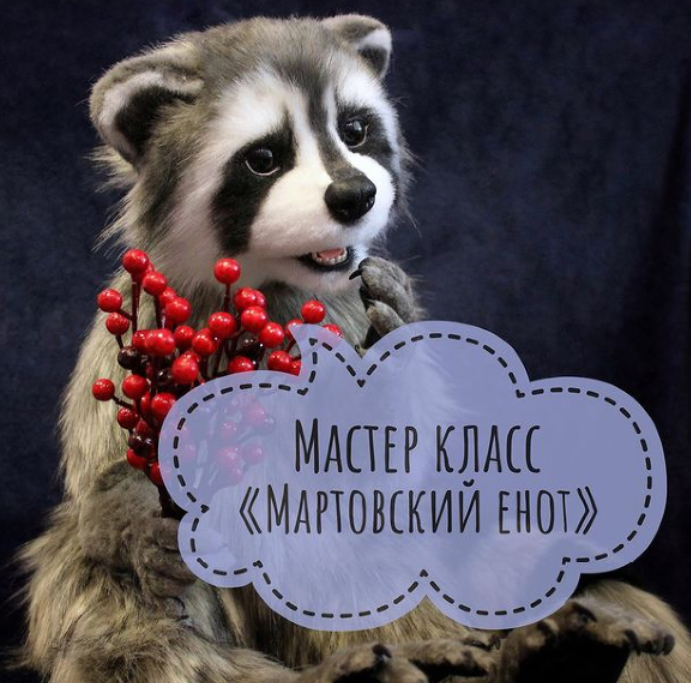Мартовский Енот (Ирина Соболева)