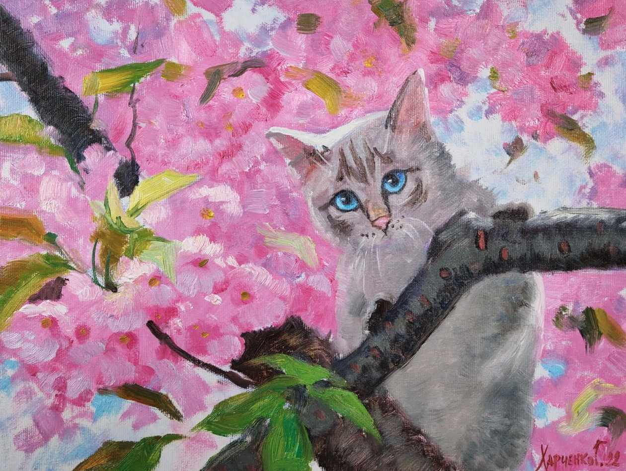 Кот в сакуре (Георгий Харченко)